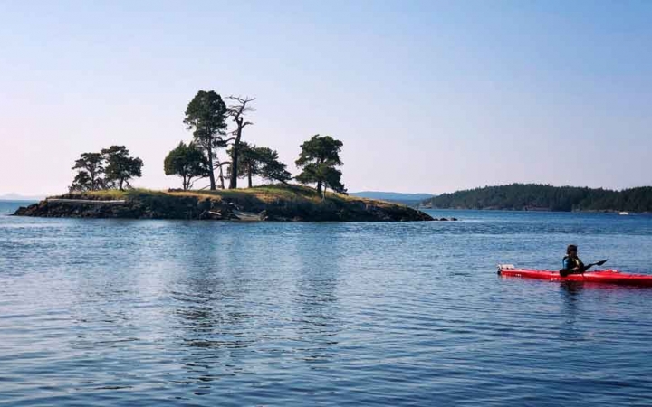 sea kayaking adventure for adults